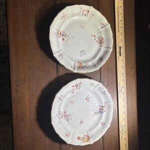Vintage Porcelain Plates Lot If Two. Floral, Gold Trim. 8.5 Inches.